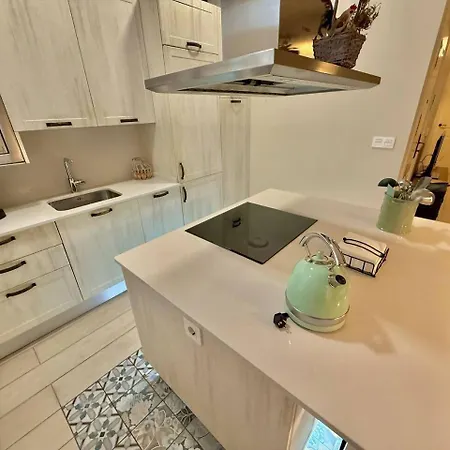 Διαμέρισμα Amuma Justina Etxea , En Casco Antiguo Μπερμέο