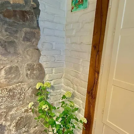 Διαμέρισμα Amuma Justina Etxea , En Casco Antiguo