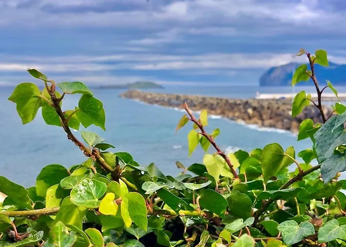 Amuma Justina Etxea , En Casco Antiguo شقة بيرميو