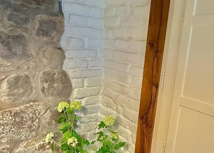 شقة Amuma Justina Etxea , En Casco Antiguo